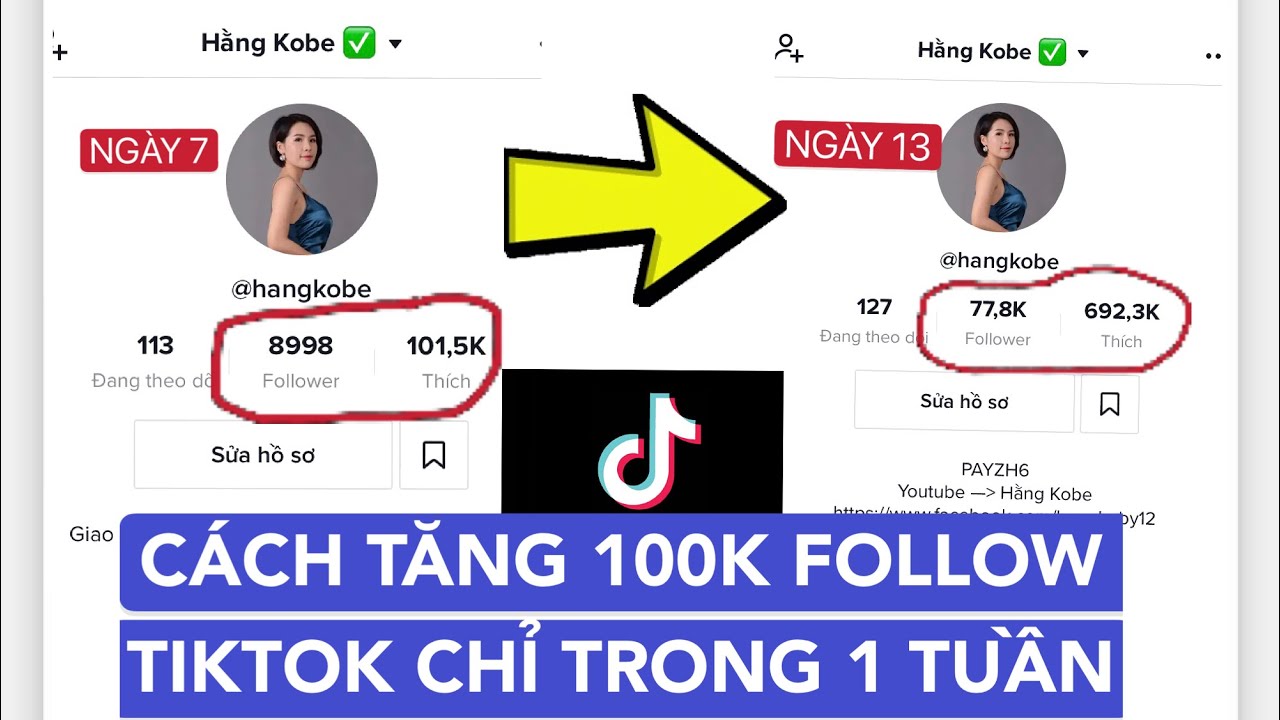 Hướng dẫn cách tăng follow TikTok hiệu quả và bền vững